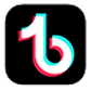 TikTok Logo